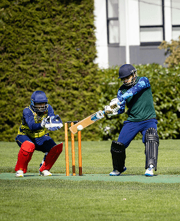 Cricket match action